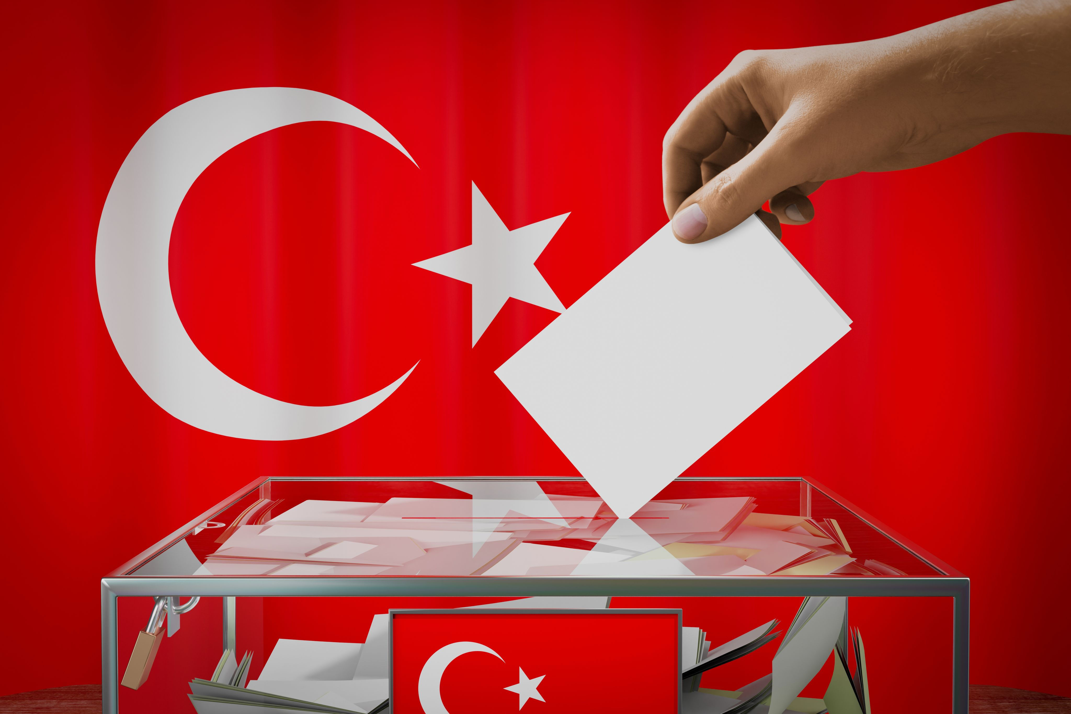 Turkey voting small med