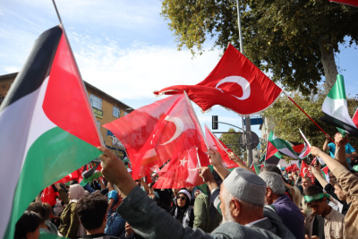 Turkey palestine small